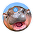HIPPO