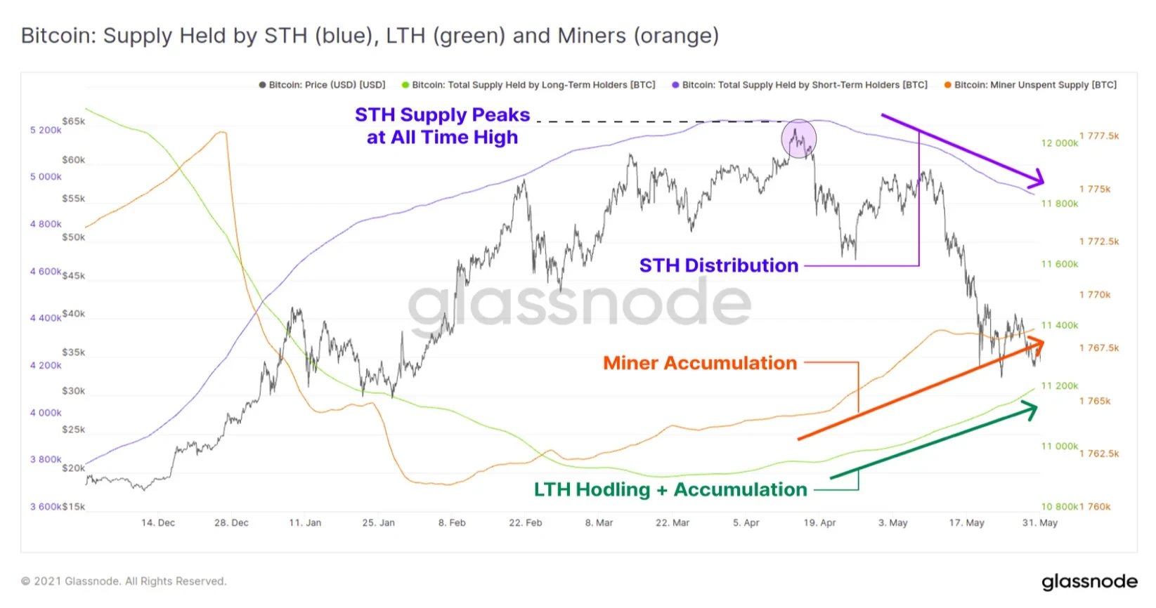 Supply Held by STH, LTH, and Miners