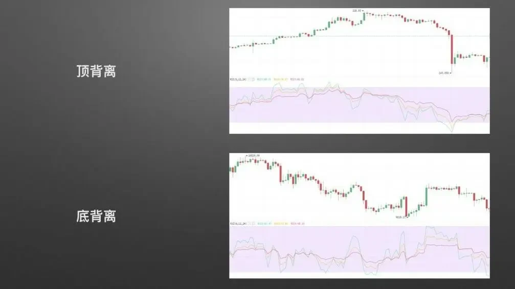 24 相对强弱指标RSI.019