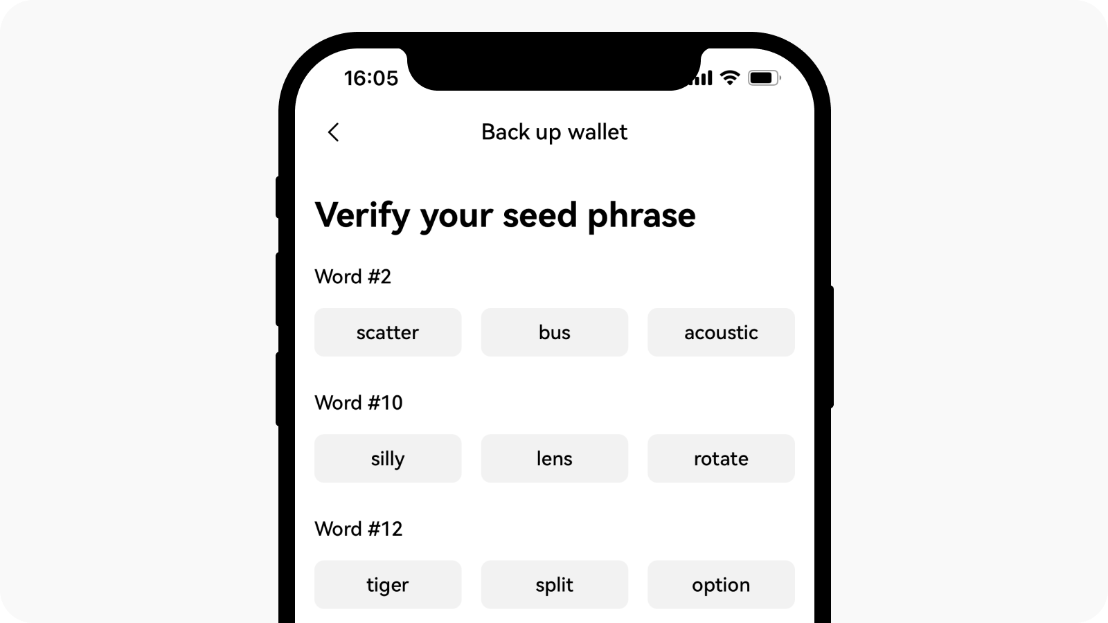 CT-app-web3-verify seed phrase