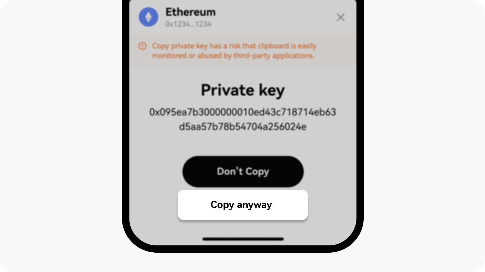 CT-App-web3-copy private key