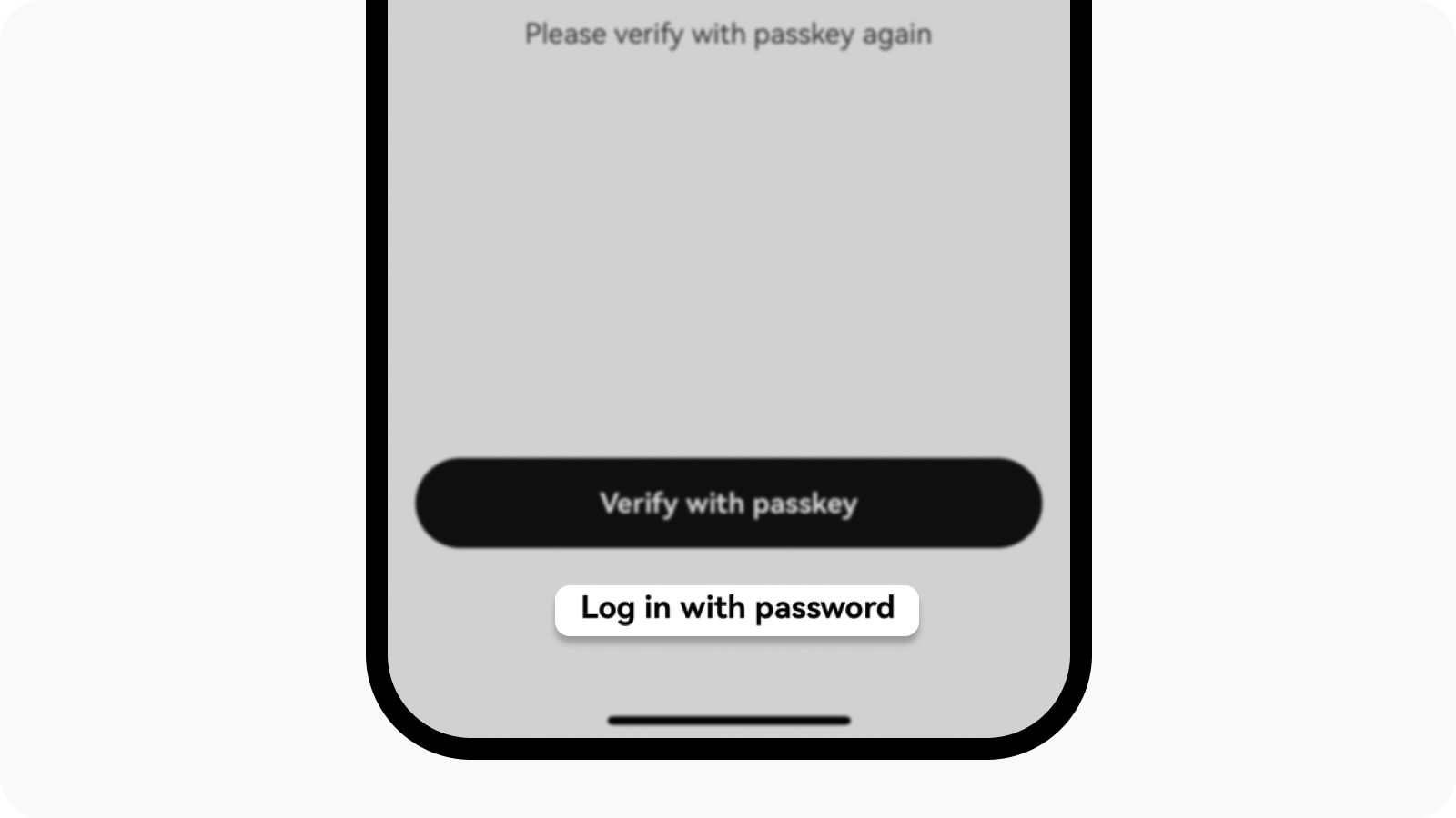 CT-app-passkey-login with password