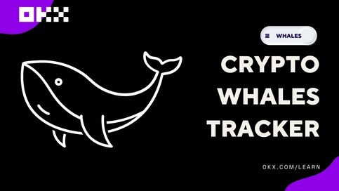 Crypto whales tracker: Why they matter and how you can track them