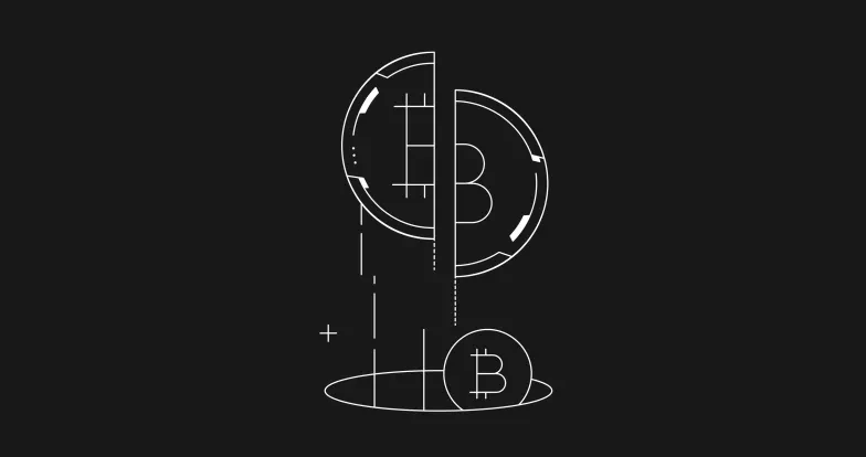 The Bitcoin Halving: A Testament to the Resilience of Cryptocurrency
