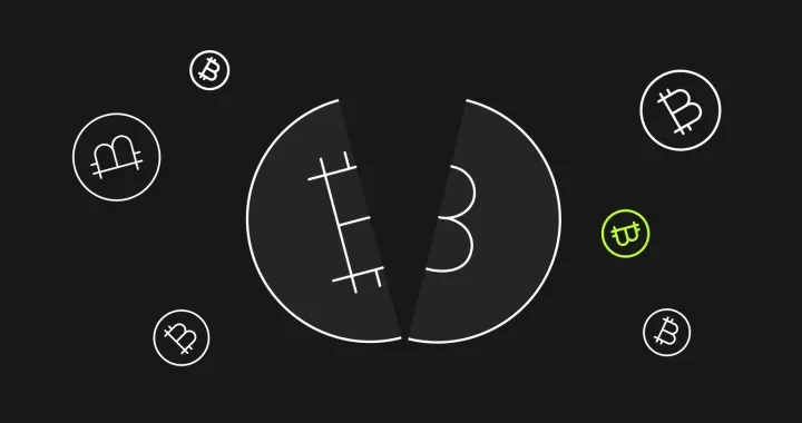 What Is Bitcoin Halving