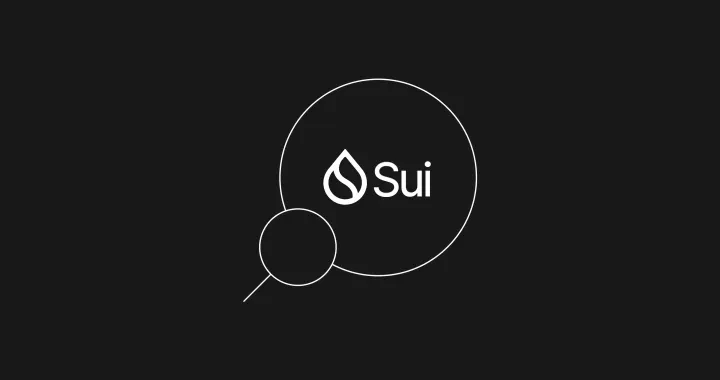 SUI explainer article learn banner