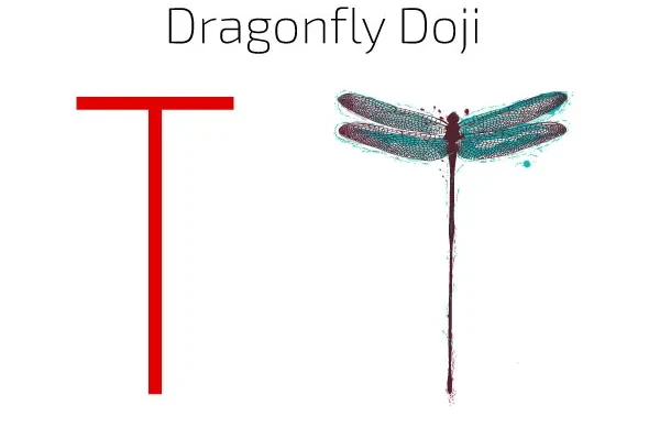 Dragonfly B