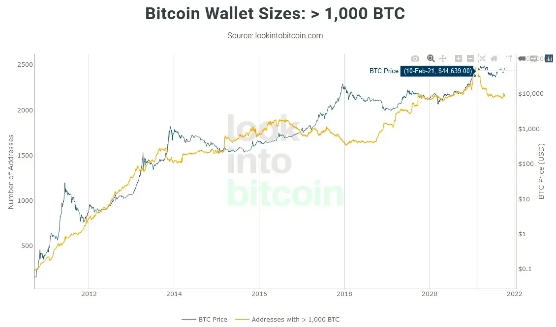 Bitcoin Wallet Sizes- - 1,000 BTC - 1