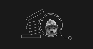 Introducing Dogwifhat (WIF): Solana's new meme star