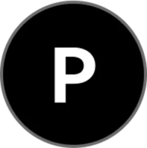 PI